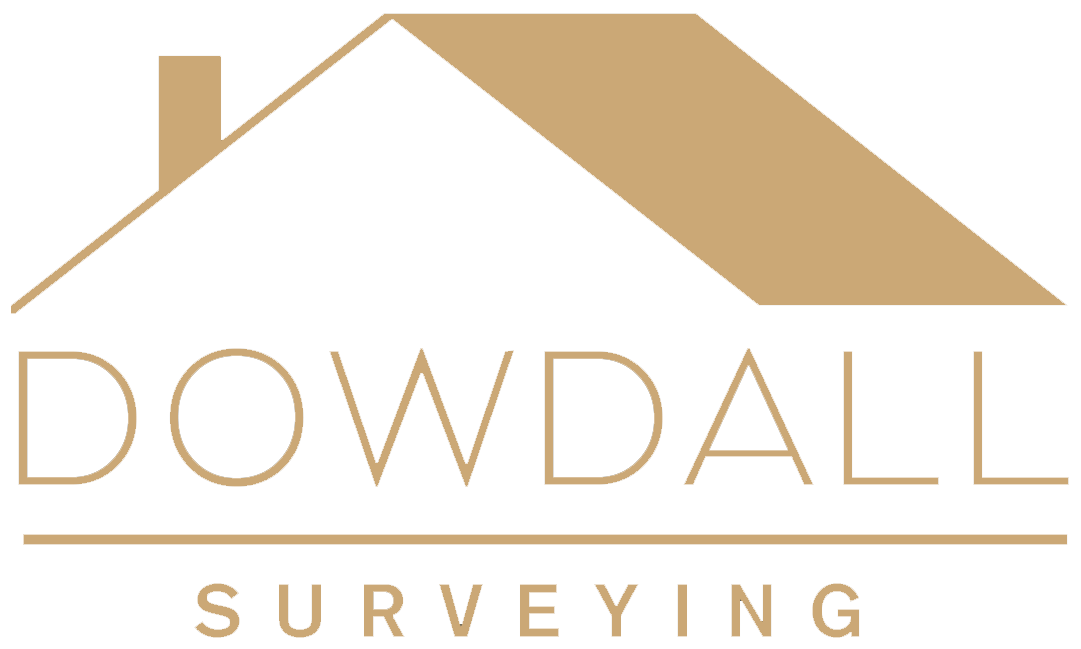 Dowdall Surveying Transparent Logo